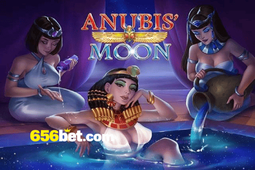 Multi-Sport Coverage